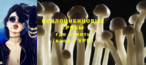 а пвп мука Алзамай