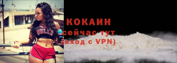 спайс Алексин