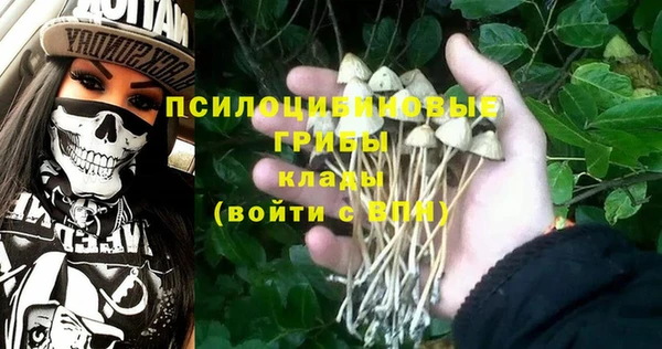 шишки Алексеевка