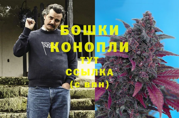 а пвп мука Алзамай