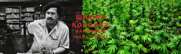 спайс Алексин