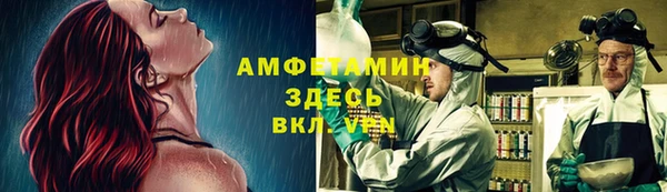 шишки Алексеевка