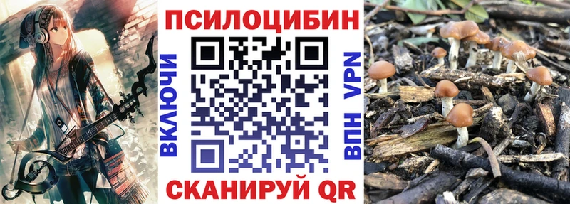 мега tor  Осташков  Псилоцибиновые грибы мухоморы 