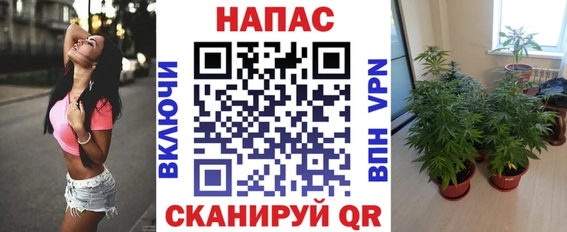 Бошки Шишки THC 21%  Осташков 
